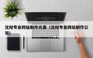 灵宝沈阳专业网站制作方案（沈阳专业网站制作公司）
